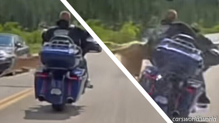 El motorista de Harley choca contra un ciervo a alta velocidad y de alguna manera nunca se cae | Carscoops